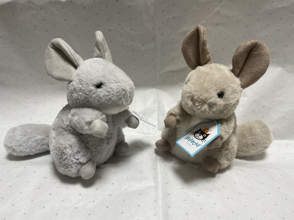 写真は本投稿と全く関係ない、最近廃盤になって悲しかったチンチラのぬいぐるみ。
かわいいよね。