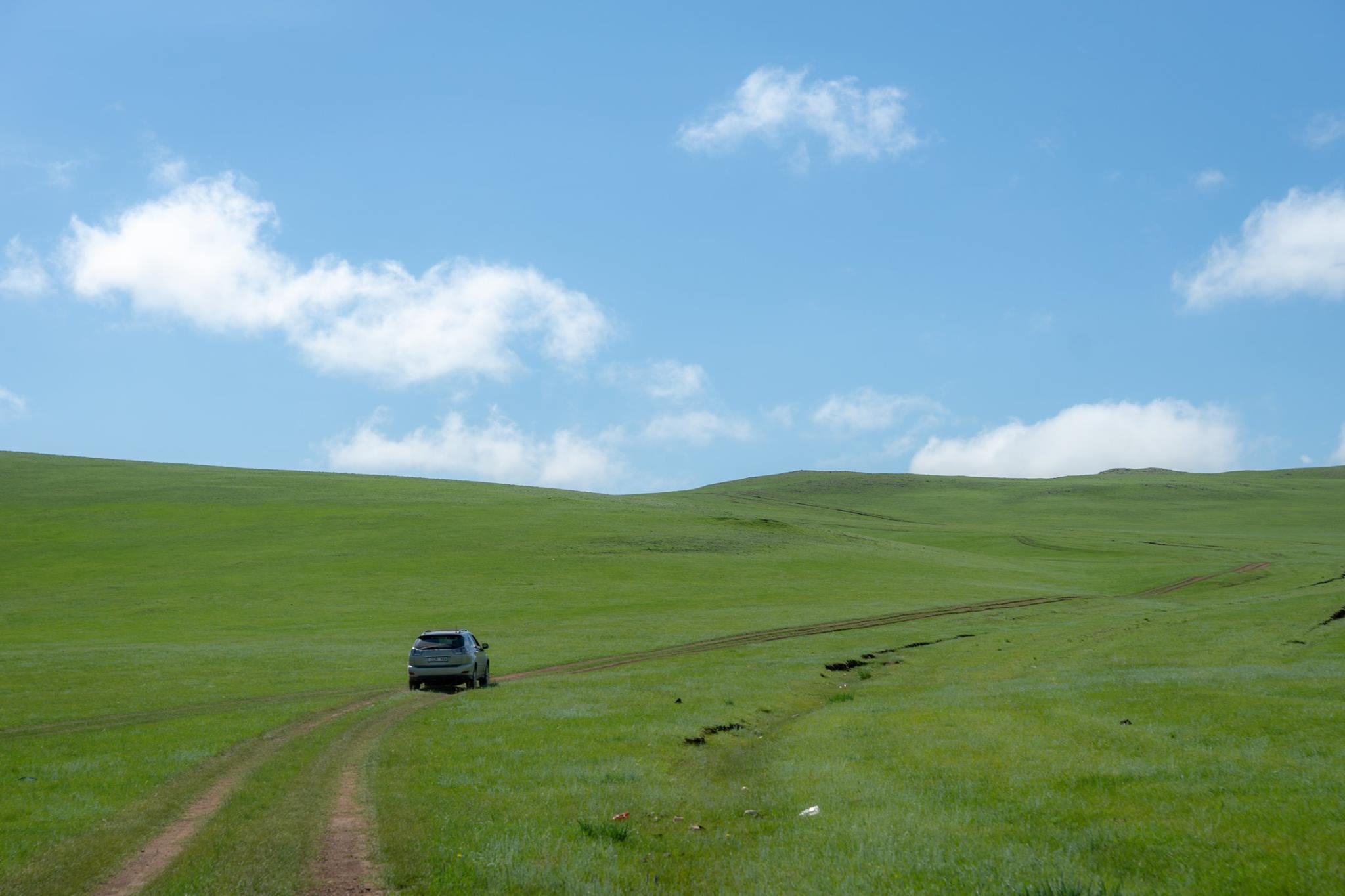 モンゴル・ミャンマー・ニュージーランド・ラダック